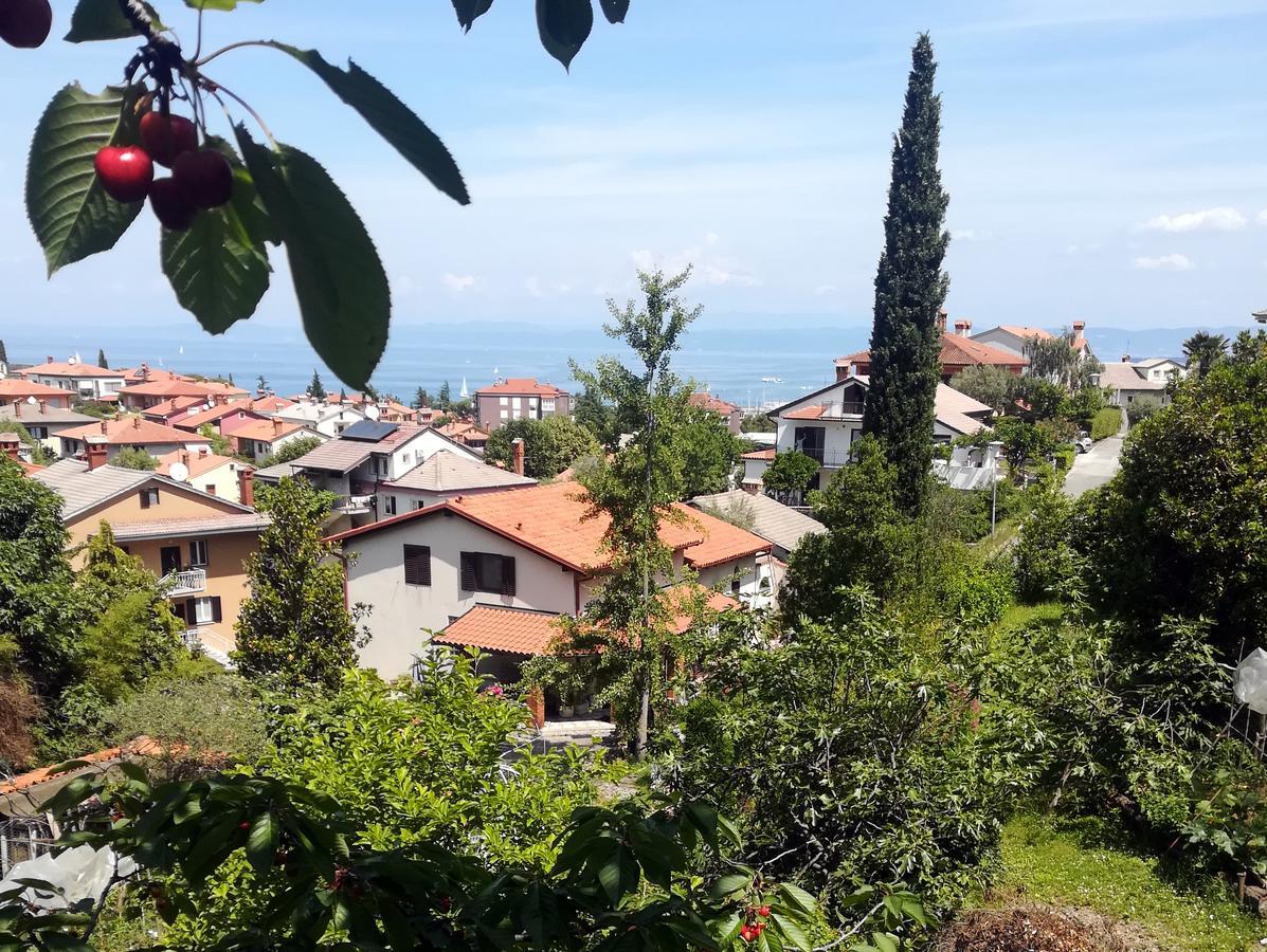 Seaside Parenzana Comfort With Free Parking 이졸라 외부 사진